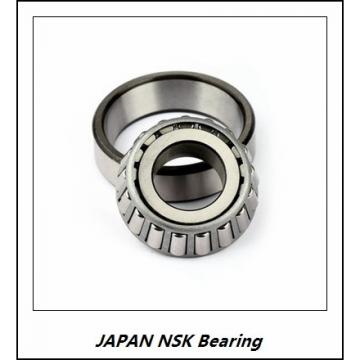 NSK AN11L JAPAN Bearing 60*80*11