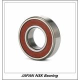 NSK ASNU 20 JAPAN Bearing